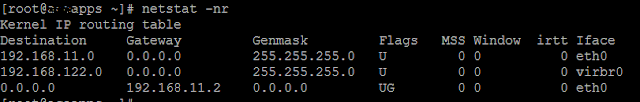How to delete route in linux